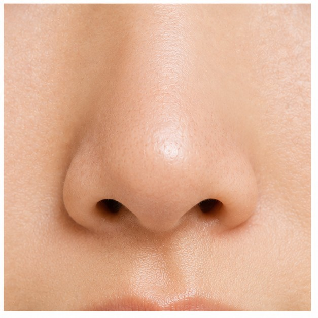 nose