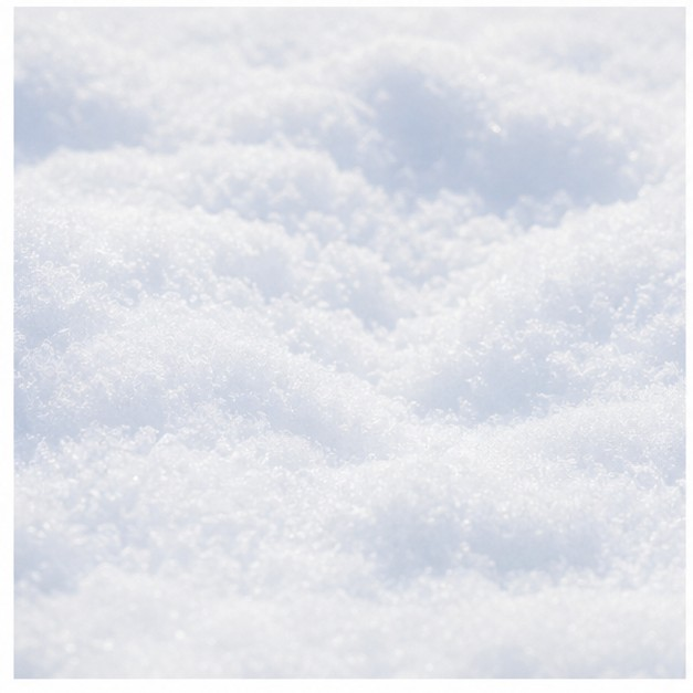 snowy