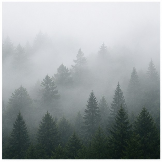 foggy