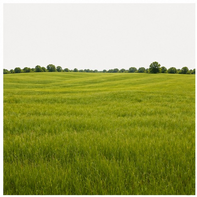field