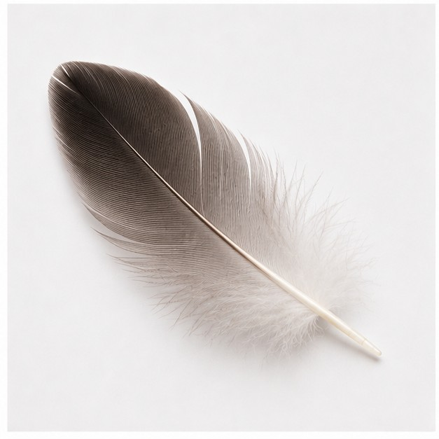 feather